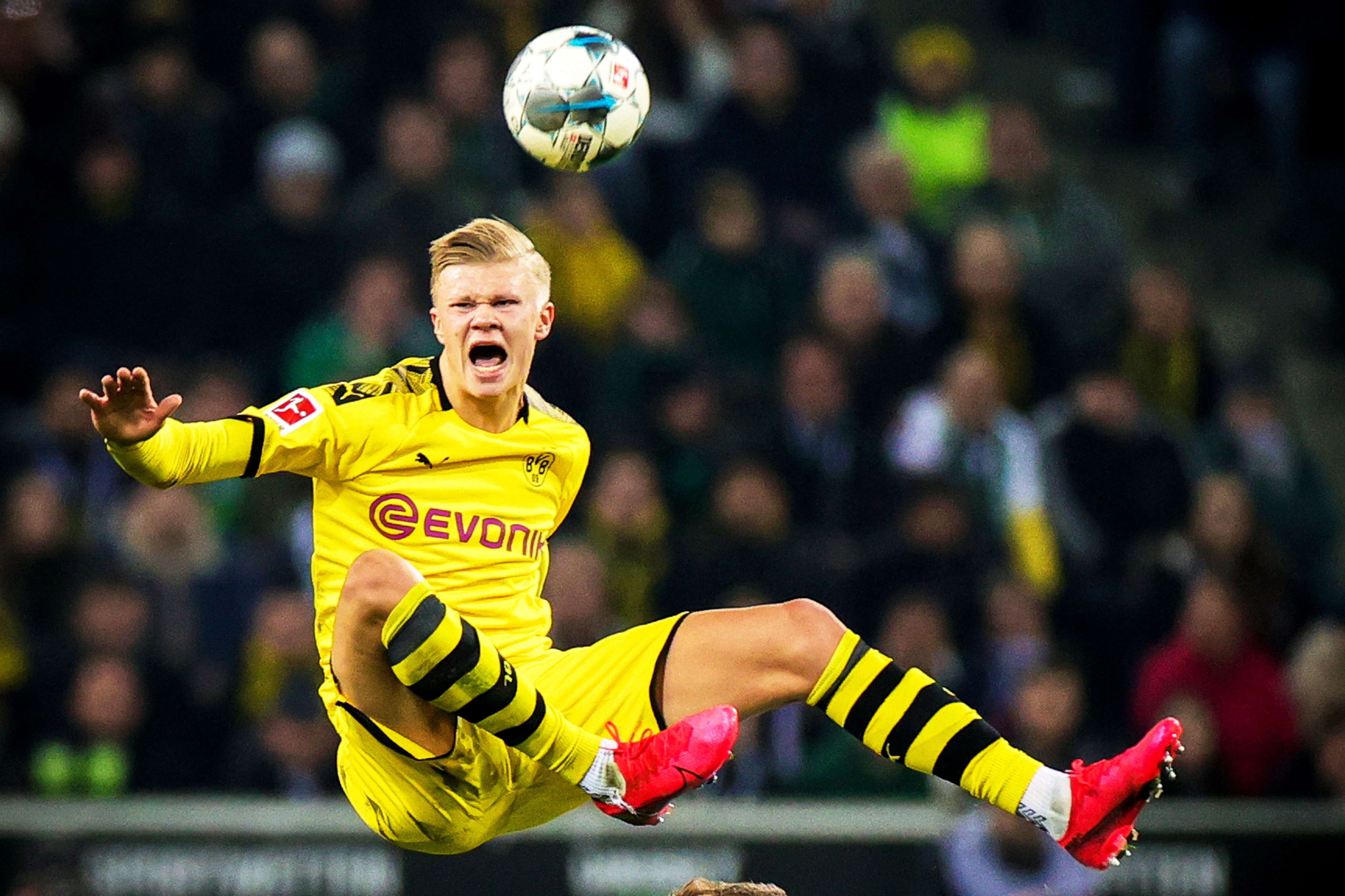 国王快攻节奏联盟顶尖（国王快攻节奏领跑全联盟）